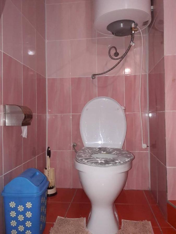Kyzart Guesthouse Bagysh Zewnętrze zdjęcie